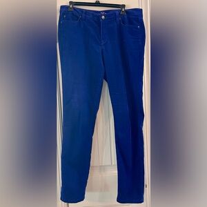 Ann Taylor Loft Royal Blue corduroy straight Leg Jeans size 10 skinny